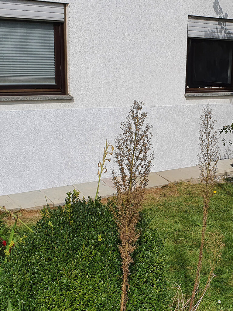 kewabo® gmbh frankfurt referenzen